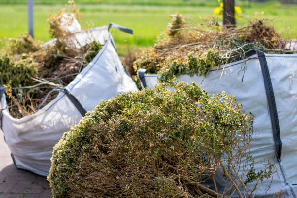 Best Yard Cleanup Services  in Chillicothe, MO
